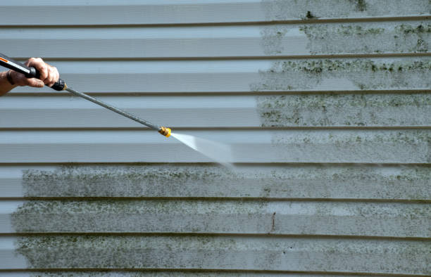 Best Roof Cleaning and Mildew Removal in Weston, MO
